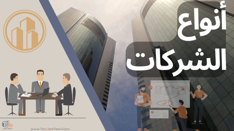 Read more about the article أنواع الشركات